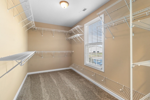 spacious closet with carpet