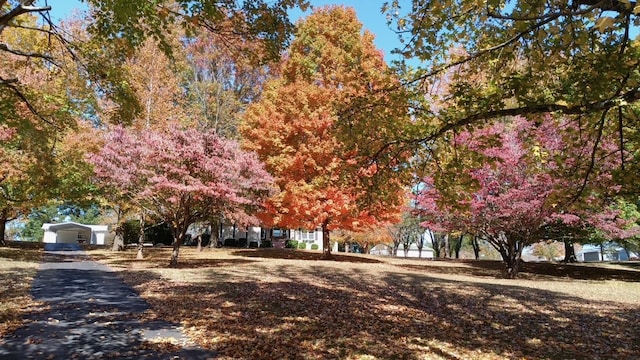 view of surrounding community