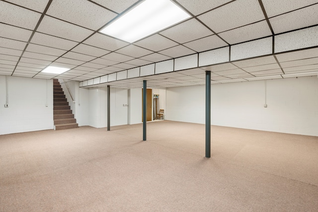 basement featuring carpet