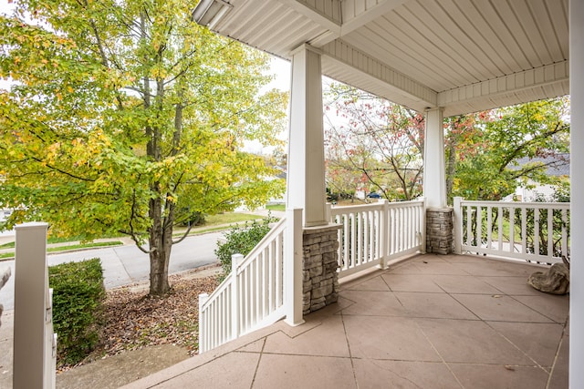 view of patio / terrace with a porch