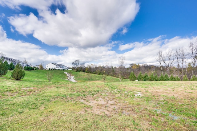 view of yard with a rural view