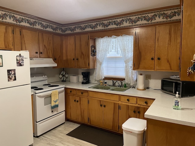 kitchen with light wood-type flooring, white appliances, and sink