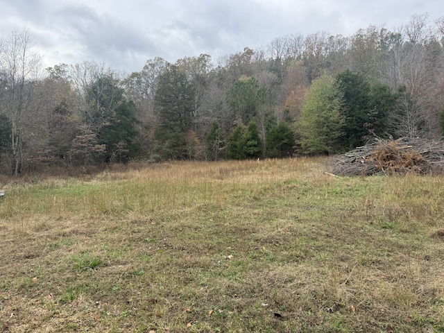 Listing photo 2 for 0 Tracy Rd, Hohenwald TN 38462