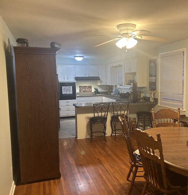 dining space featuring ceiling fan, sink, and dark wood-type flooring