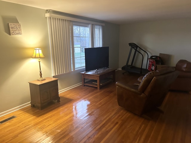 living room featuring wood-type flooring