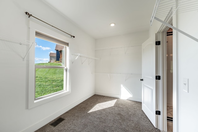 spacious closet with carpet