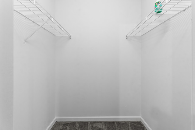 walk in closet with carpet floors