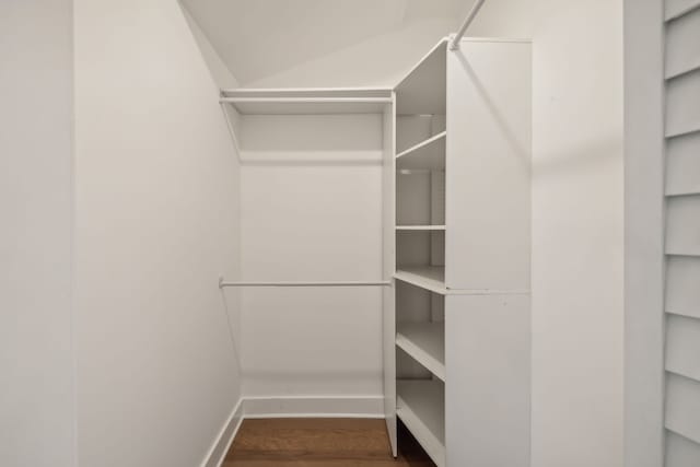 spacious closet with wood-type flooring