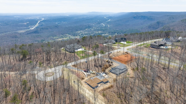 aerial view with a mountain view