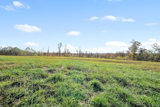 742 Moore Hollow Rd, Indian Mound, TN 37079