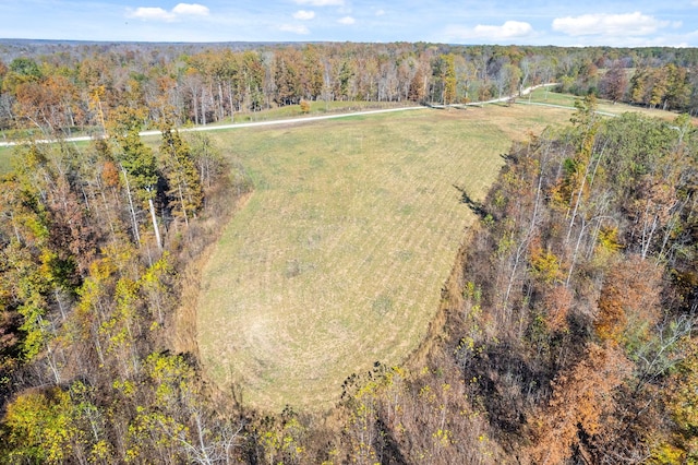 742 Moore Hollow Rd, Indian Mound, TN 37079