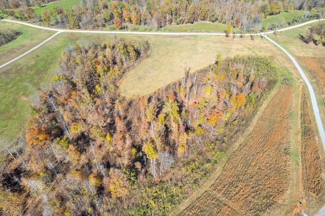 742 Moore Hollow Rd, Indian Mound, TN 37079