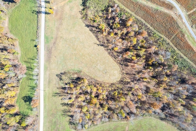 742 Moore Hollow Rd, Indian Mound, TN 37079