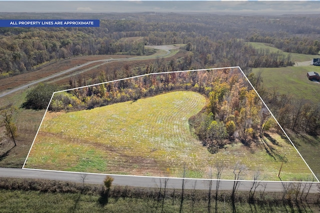 742 Moore Hollow Rd, Indian Mound TN, 37079 land for sale