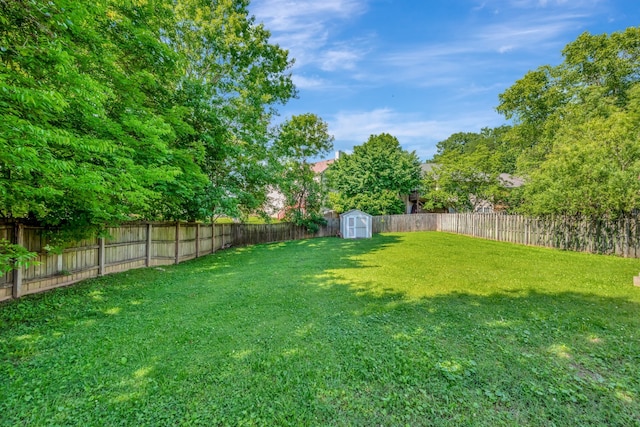 view of yard with a storage shed