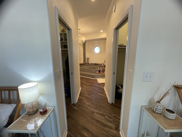 corridor with dark hardwood / wood-style flooring, an inviting chandelier, and ornamental molding