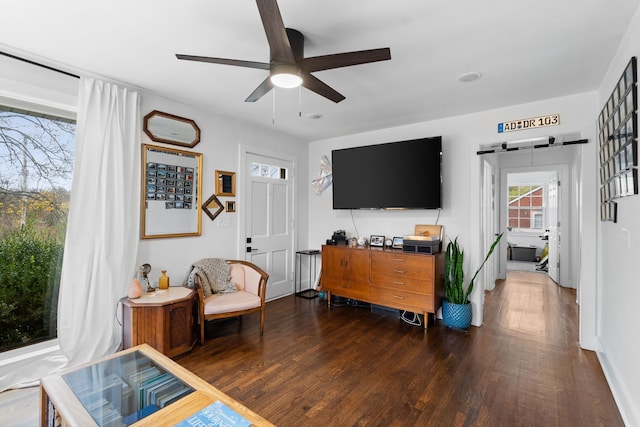 interior space with a barn door, dark hardwood / wood-style floors, and ceiling fan