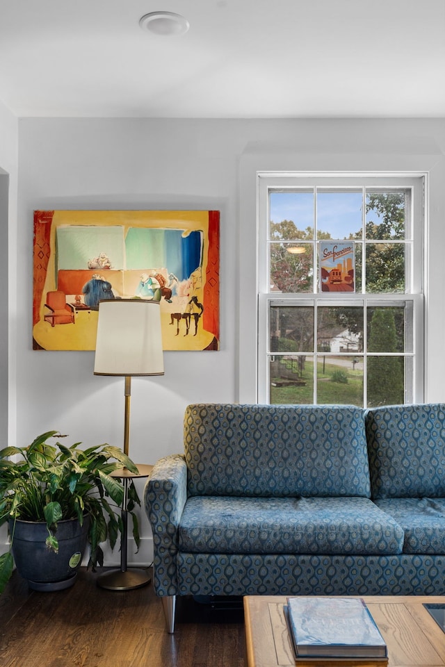 living room with hardwood / wood-style floors