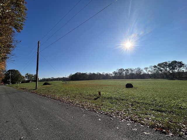 4031 Wells Rd, Springfield, TN 37172 - photo 2