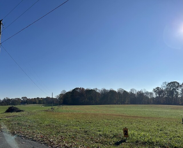 4031 Wells Rd, Springfield, TN 37172 - photo 3