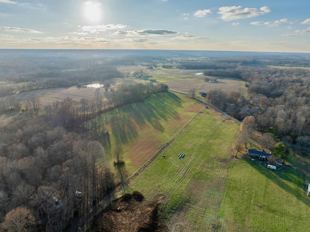4031 Wells Rd, Springfield, TN 37172 - photo 4