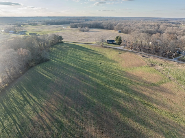 4031 Wells Rd, Springfield, TN 37172 - photo 6
