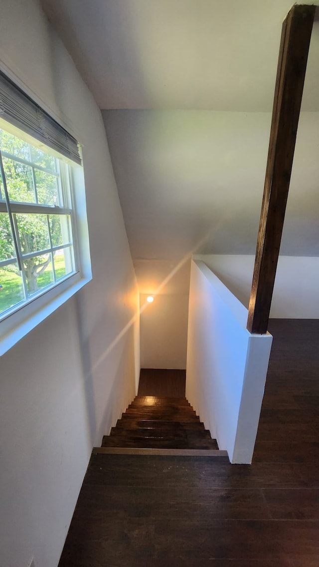 stairs with wood-type flooring