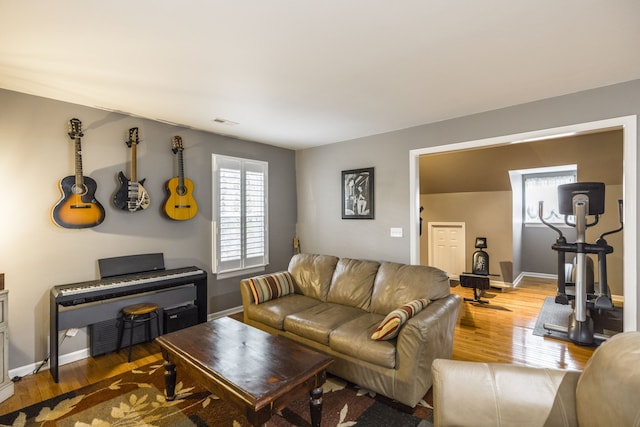 living room with hardwood / wood-style flooring