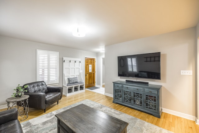 living room featuring wood-type flooring