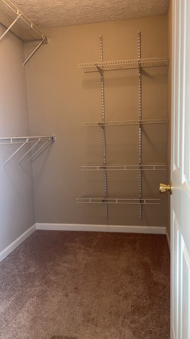 walk in closet with carpet floors