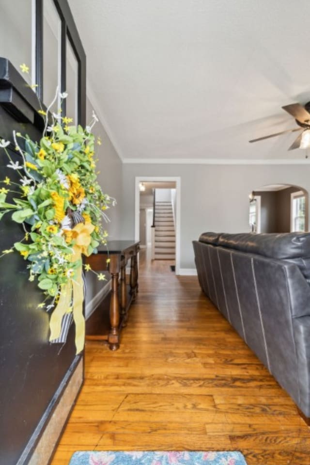 corridor with light hardwood / wood-style flooring and crown molding