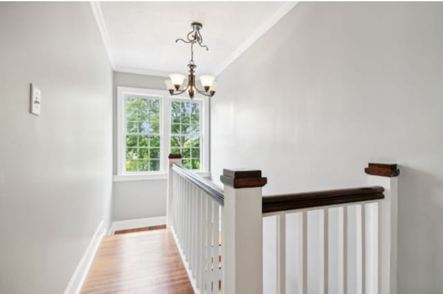 hall featuring hardwood / wood-style floors, a notable chandelier, and ornamental molding