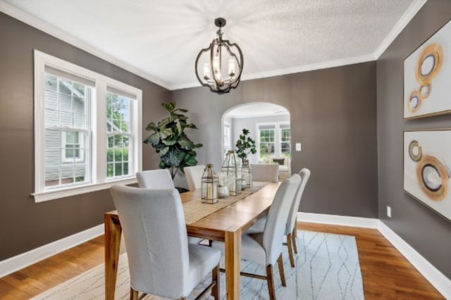 dining area featuring plenty of natural light, ornamental molding, and hardwood / wood-style flooring