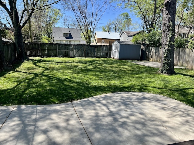 view of yard with a patio and a storage shed