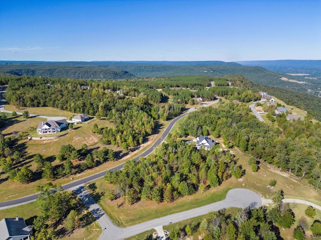 145 Eagle Eye Dr, Jasper, TN 37347 - photo 5