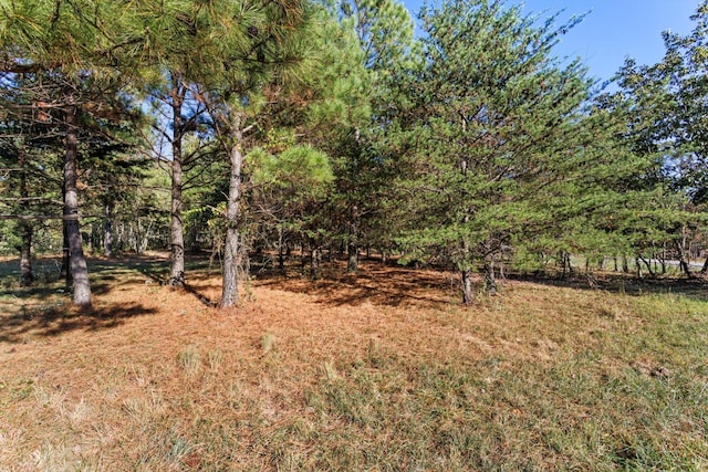 145 Eagle Eye Dr, Jasper, TN 37347 - photo 10