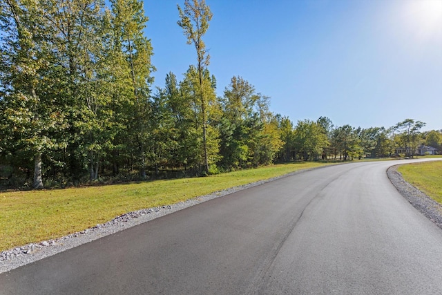 145 Eagle Eye Dr, Jasper, TN 37347 - photo 8