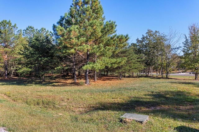 145 Eagle Eye Dr, Jasper, TN 37347 - photo 9