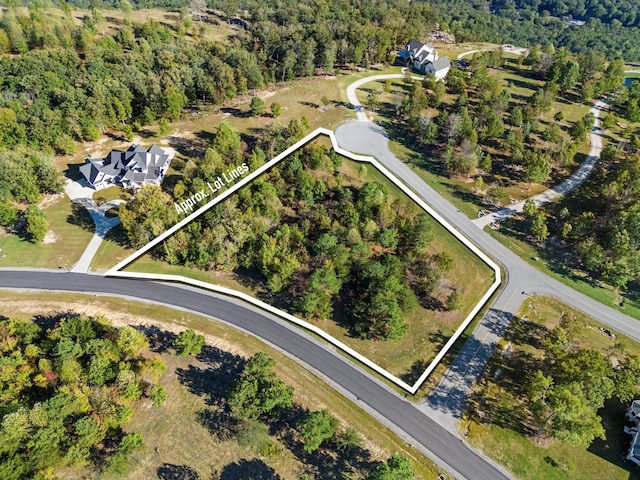 145 Eagle Eye Dr, Jasper, TN 37347 - photo 4