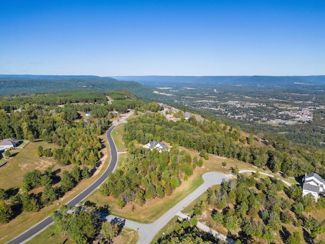 145 Eagle Eye Dr, Jasper, TN 37347 - photo 6