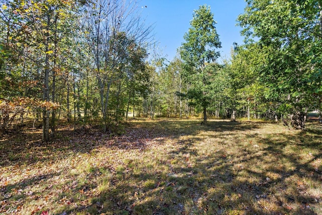 145 Eagle Eye Dr, Jasper, TN 37347 - photo 11