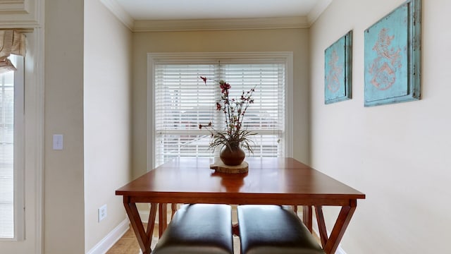 dining room featuring ornamental molding and a healthy amount of sunlight