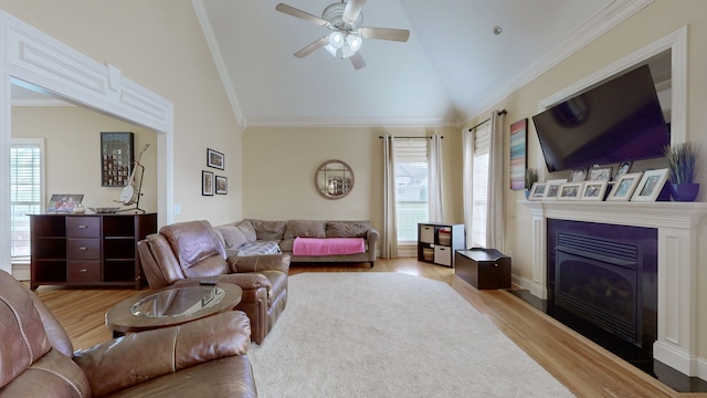 living room with ceiling fan, lofted ceiling, crown molding, and light hardwood / wood-style flooring