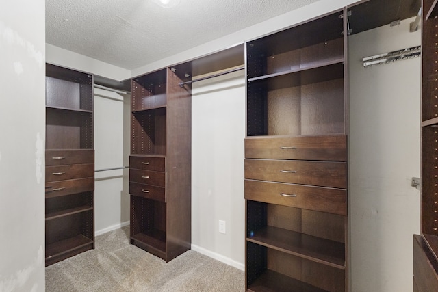 spacious closet with light colored carpet