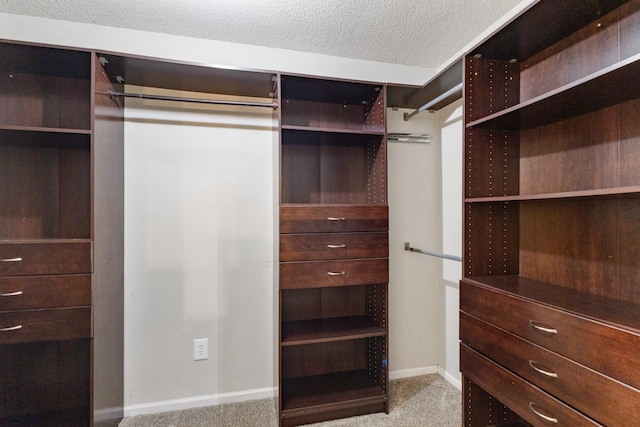 spacious closet featuring light carpet