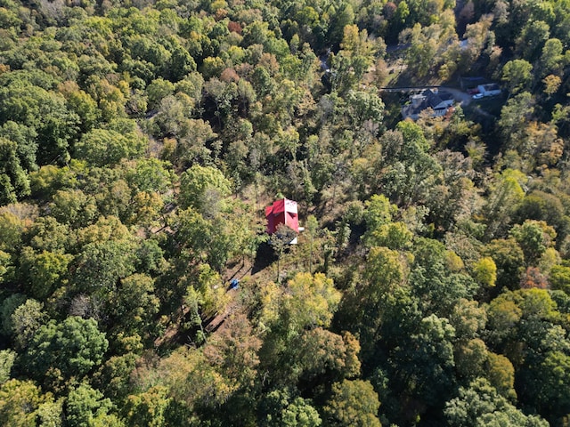 bird's eye view