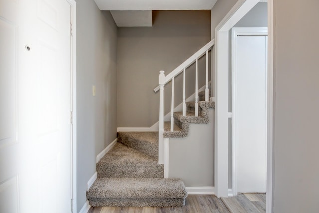 stairway with hardwood / wood-style flooring