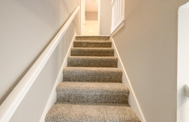 stairs featuring carpet