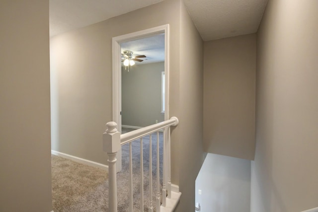 interior space featuring a textured ceiling and carpet floors