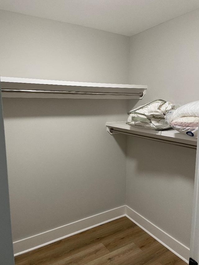 walk in closet featuring dark hardwood / wood-style floors